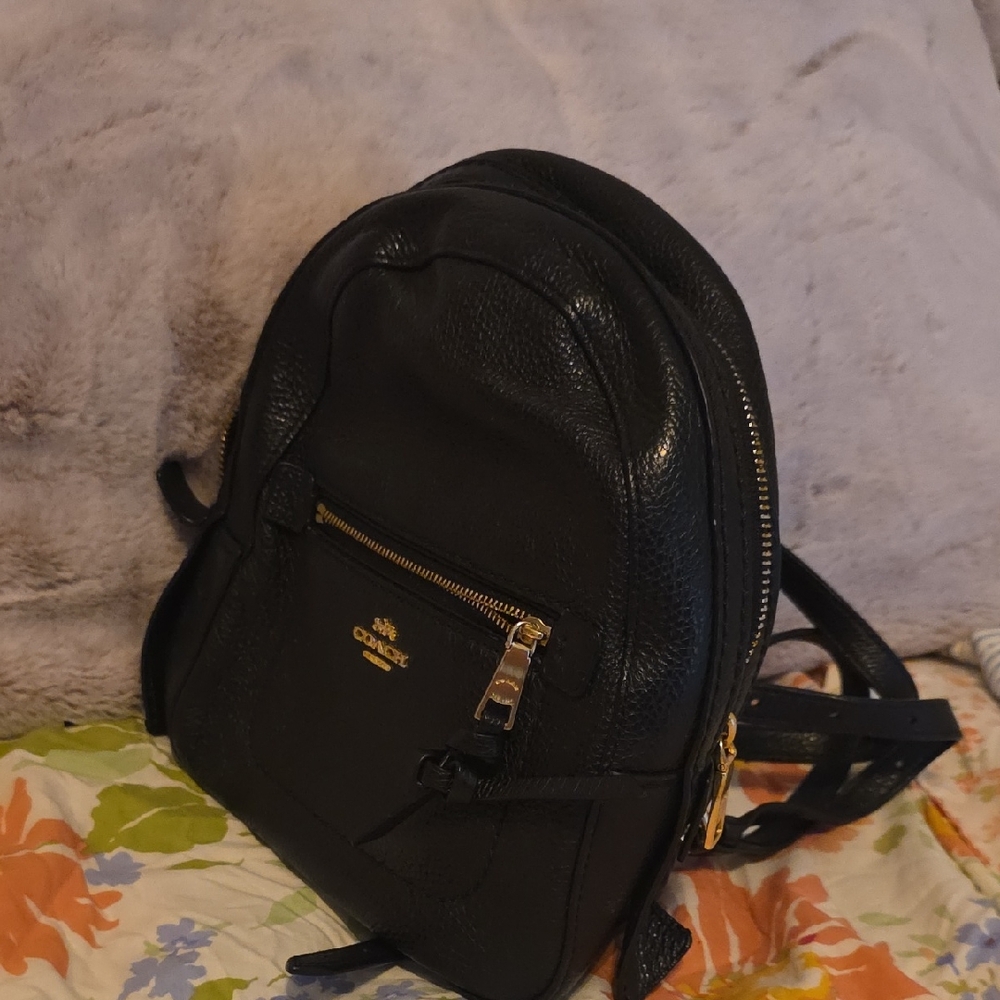 Coach Black Pebbled Leather Mini Rucksack with Gold Hardware